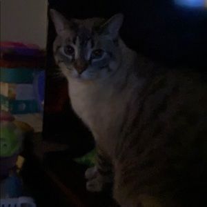 Meet your Posher, Sara